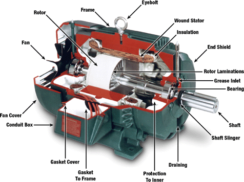 Electric fan motors